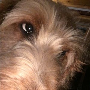 Meet your Posher, Judy